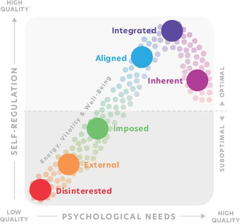 Spectrum of Motivation Model