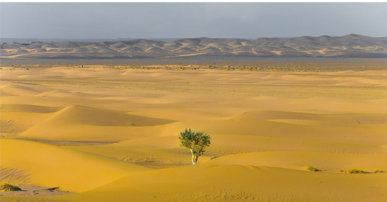 STRATEGIES TO EXPERIENCE A POSITIVE DIFFERENCE IN THE NEW YEAR-new